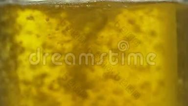 啤酒倒入一个玻璃在一个孤立的背景，泡沫上升在一个白色的背景。 啤酒节